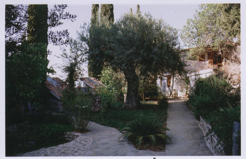 Studios Kyparissi & Spa Tirós Exteriör bild